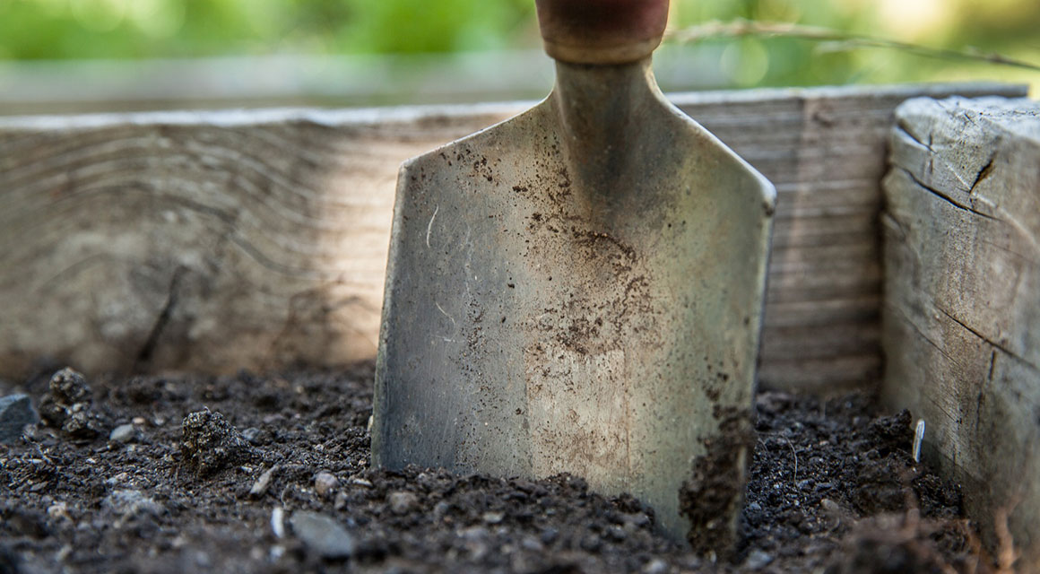 Eenvoudig aan te planten